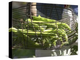 Green Beans in Vegetable Garden, Clos Des Iles, Le Brusc, Var, Cote d'Azur, France-Per Karlsson-Stretched Canvas
