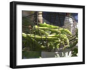 Green Beans in Vegetable Garden, Clos Des Iles, Le Brusc, Var, Cote d'Azur, France-Per Karlsson-Framed Photographic Print