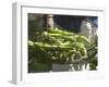 Green Beans in Vegetable Garden, Clos Des Iles, Le Brusc, Var, Cote d'Azur, France-Per Karlsson-Framed Photographic Print