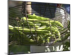 Green Beans in Vegetable Garden, Clos Des Iles, Le Brusc, Var, Cote d'Azur, France-Per Karlsson-Mounted Photographic Print