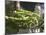 Green Beans in Vegetable Garden, Clos Des Iles, Le Brusc, Var, Cote d'Azur, France-Per Karlsson-Mounted Photographic Print