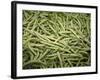 Green Beans-Ken Hammond-Framed Photo