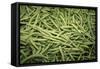 Green Beans-Ken Hammond-Framed Stretched Canvas