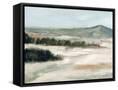 Framed Canvas
