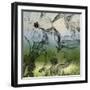 Green Bella Natura II-Lanie Loreth-Framed Art Print