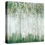 Green Birch Forest-Ian C-Stretched Canvas