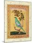 Green Bird, Mughal-null-Mounted Giclee Print