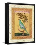 Green Bird, Mughal-null-Framed Stretched Canvas