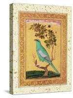 Green Bird, Mughal-null-Stretched Canvas