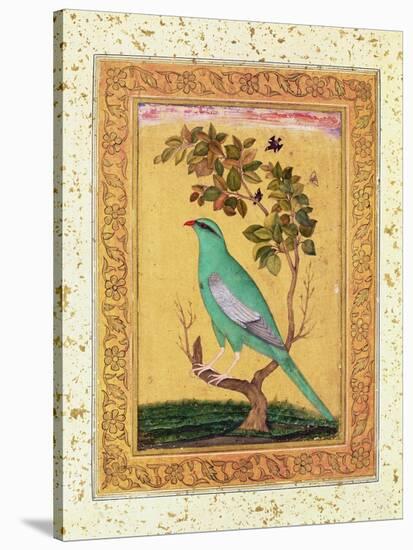 Green Bird, Mughal-null-Stretched Canvas