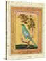 Green Bird, Mughal-null-Stretched Canvas