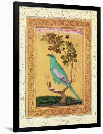 Green Bird, Mughal-null-Framed Premium Giclee Print