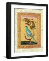 Green Bird, Mughal-null-Framed Giclee Print