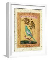 Green Bird, Mughal-null-Framed Giclee Print