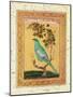 Green Bird, Mughal-null-Mounted Giclee Print