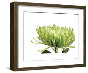 Green Bloom 1-Jenny Kraft-Framed Art Print