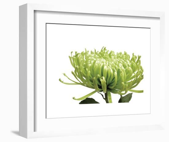 Green Bloom 1-Jenny Kraft-Framed Art Print