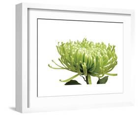 Green Bloom 1-Jenny Kraft-Framed Art Print