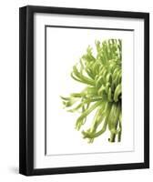 Green Bloom 2 (reverse)-Jenny Kraft-Framed Art Print