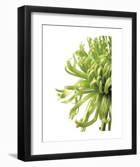 Green Bloom 2 (reverse)-Jenny Kraft-Framed Art Print