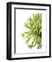 Green Bloom 2 (reverse)-Jenny Kraft-Framed Art Print
