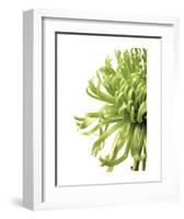 Green Bloom 2 (reverse)-Jenny Kraft-Framed Art Print