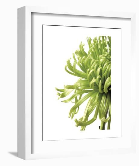 Green Bloom 2 (reverse)-Jenny Kraft-Framed Art Print