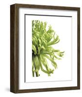 Green Bloom 2-Jenny Kraft-Framed Art Print