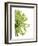 Green Bloom 2-Jenny Kraft-Framed Art Print