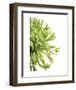 Green Bloom 2-Jenny Kraft-Framed Art Print