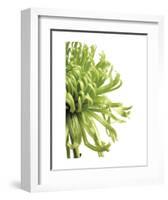 Green Bloom 2-Jenny Kraft-Framed Art Print