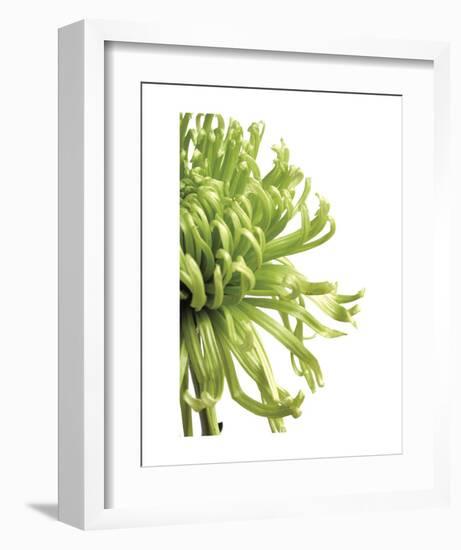 Green Bloom 2-Jenny Kraft-Framed Art Print