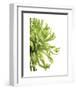 Green Bloom 2-Jenny Kraft-Framed Art Print