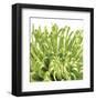 Green Bloom 5 (detail)-Jenny Kraft-Framed Art Print