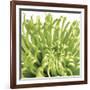 Green Bloom 5 (detail)-Jenny Kraft-Framed Art Print