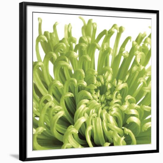 Green Bloom 5 (detail)-Jenny Kraft-Framed Art Print