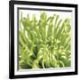 Green Bloom 5 (detail)-Jenny Kraft-Framed Art Print