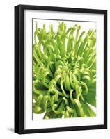 Green Bloom 5-Jenny Kraft-Framed Art Print