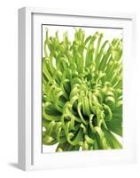 Green Bloom 5-Jenny Kraft-Framed Art Print