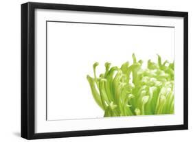 Green Bloom I-Jenny Kraft-Framed Art Print