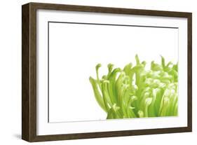 Green Bloom I-Jenny Kraft-Framed Art Print