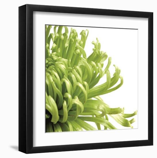 Green Bloom II (detail)-Jenny Kraft-Framed Giclee Print