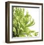 Green Bloom II (detail)-Jenny Kraft-Framed Giclee Print