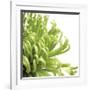Green Bloom II (detail)-Jenny Kraft-Framed Giclee Print