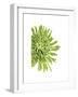 Green Bloom III-Jenny Kraft-Framed Giclee Print