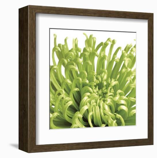 Green Bloom V (detail)-Jenny Kraft-Framed Giclee Print