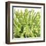 Green Bloom V (detail)-Jenny Kraft-Framed Giclee Print