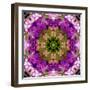 Green Blossom Mandala-Alaya Gadeh-Framed Photographic Print