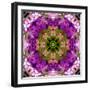 Green Blossom Mandala-Alaya Gadeh-Framed Photographic Print