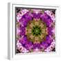 Green Blossom Mandala-Alaya Gadeh-Framed Photographic Print